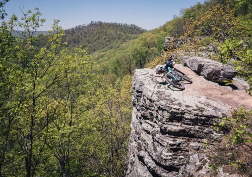 Exploring the Ride Programs in Fayette County, Georgia: A Comprehensive Guide